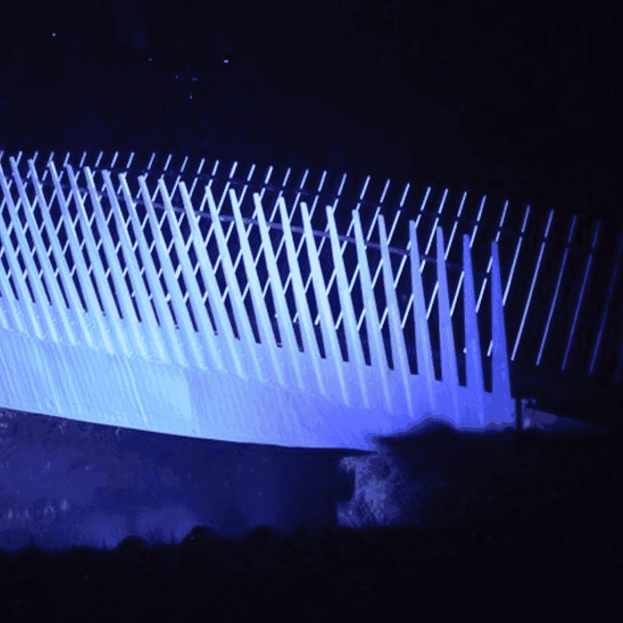 Brug bio MORGEN festival