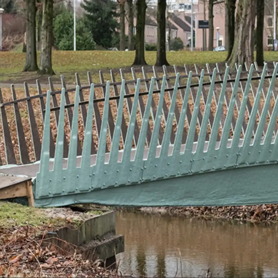 Bio brug - MORGEN festival