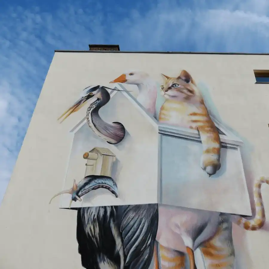 De kunst van MORGEN - Barre